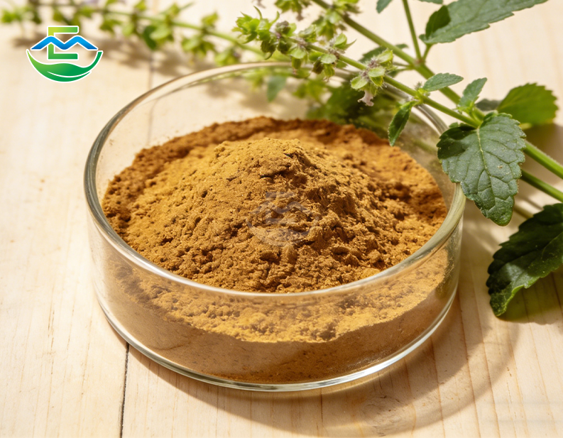 Ajuga Turkestanica Extract